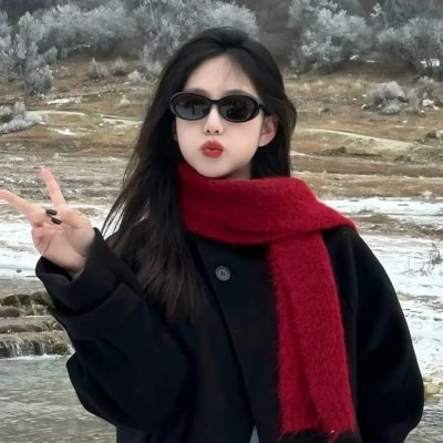 极地熊踪 海报