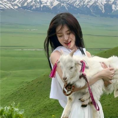 施公奇案粤语 海报